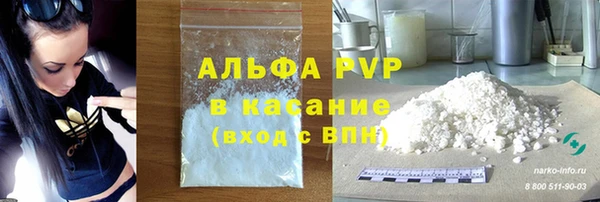 индика Армянск