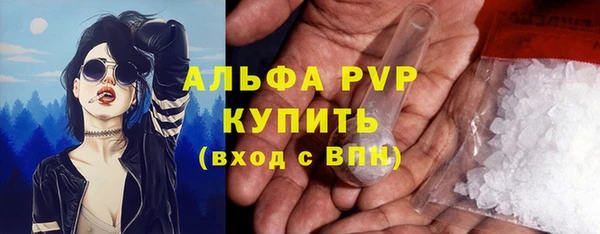 гидра Аркадак