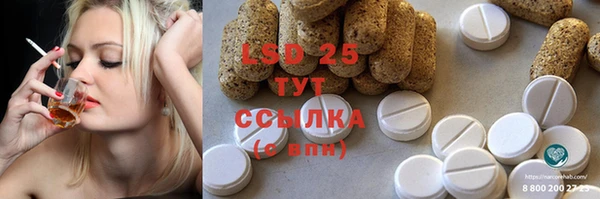 гидра Аркадак