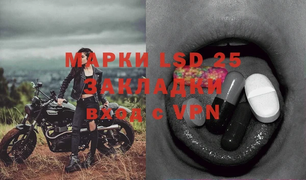 гидра Аркадак