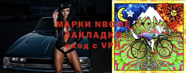 индика Армянск